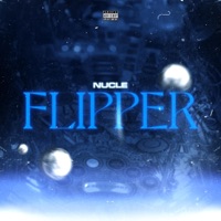 Flipper - Single - Nucle