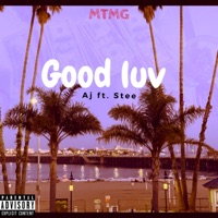 Good Luv (feat. Stee) - Single - AJ