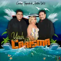 El paso del canguro — Yorch y su carisma