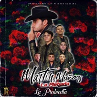 La Piedrecita - Single - Martín Muñoz Y La Plebada