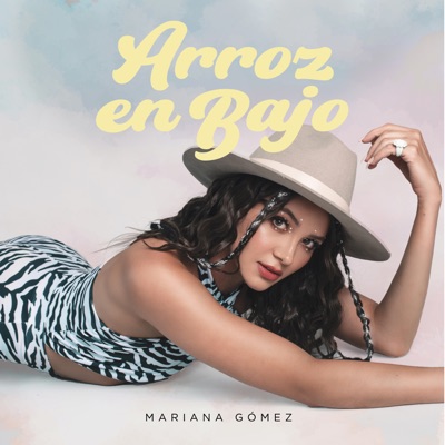 Arroz en Bajo - Single