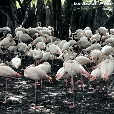 ASOKE (feat. Mommy’s Boy) - Single