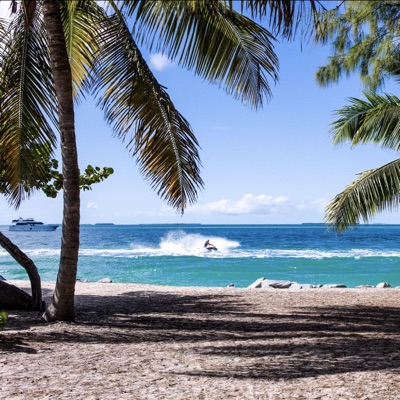 Ready to Go (feat. Queen Chameleon) - Single