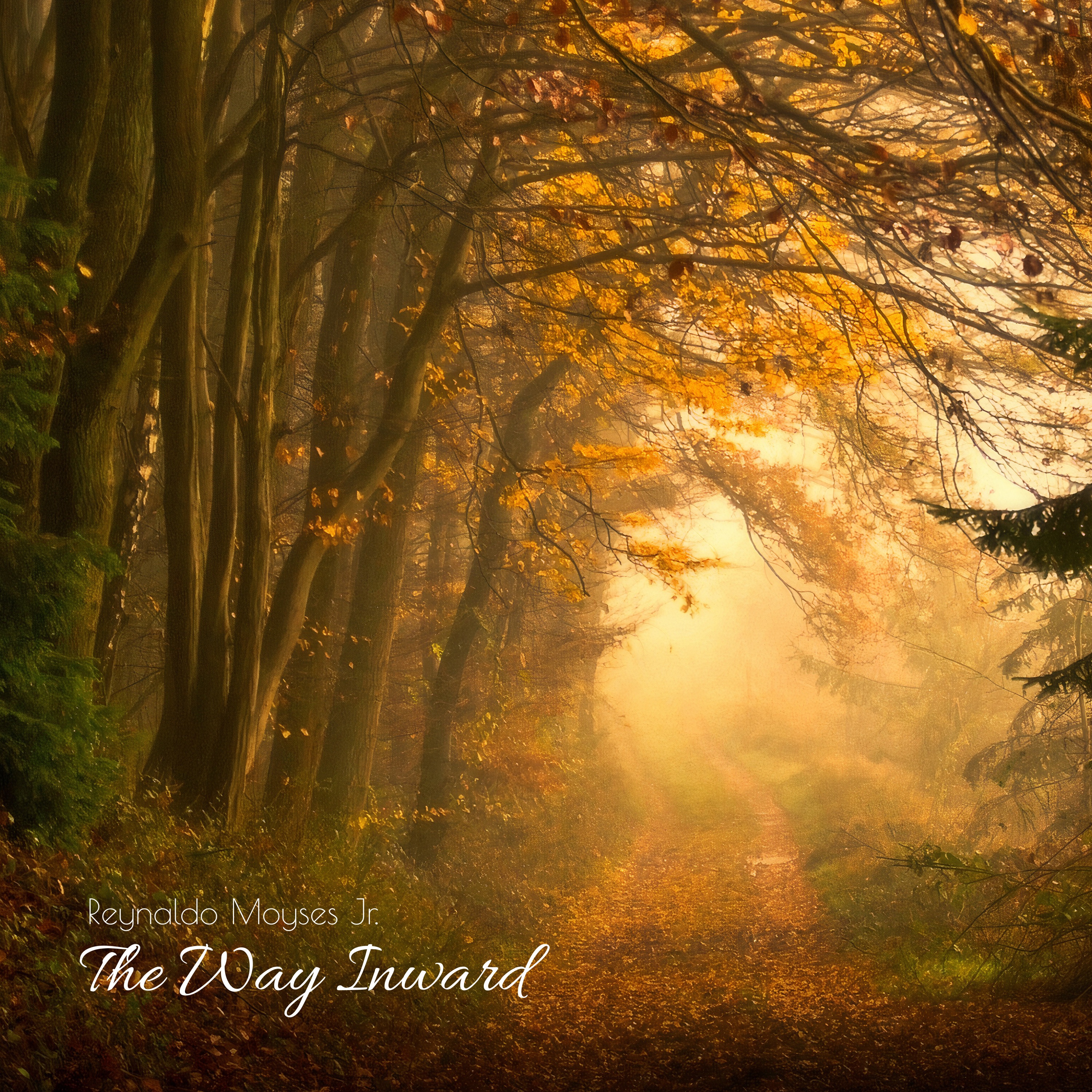 The Way Inward - EP