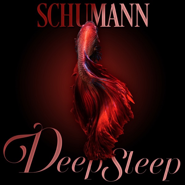 Schumann Deep Sleep