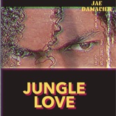 Jungle Love artwork