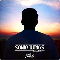 Sonic Wings (feat. Libro) - Single - CARREC