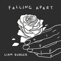 Falling Apart - Single - Liam Burger