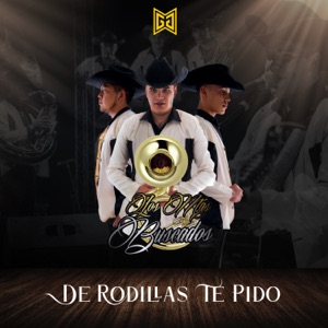 De Rodillas Te Pido - Single