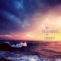 Wave - Single - Tranquil Teddy