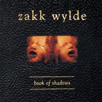 Zakk Wylde – Sleeping Dogs (feat. Corey Taylor) Lyrics