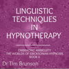 Linguistic Techniques in Hypnotherapy: Embracing Ambiguity: The Worlds of Ericksonian Hypnosis, Book 6 (Unabridged) - Dr. Tim Brunson