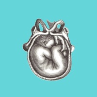 wwg (feat. 808swerve) - Single - Calman