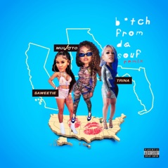 B*tch from Da Souf (Remix) - Single