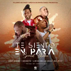 Te Siento En Para (feat. Ceky Viciny, Secreto El Famoso Biberon & Bulin47) [Remix] - Single - Lirico En La Casa