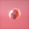 Nouvelle Lune - Awn lyrics