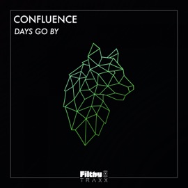 Days Go By Confluence