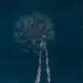 Leaves Painted In A Darker Blue