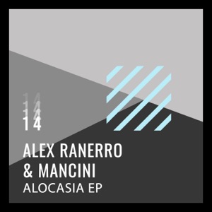 Alocasia - EP