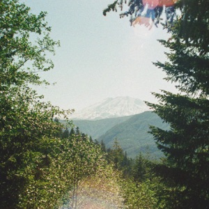Through the Woods