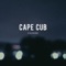 Swim - Cape Cub lyrics