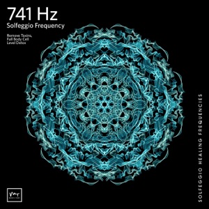 741 Hz Cleanse Aura