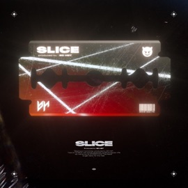Slice bd hbt