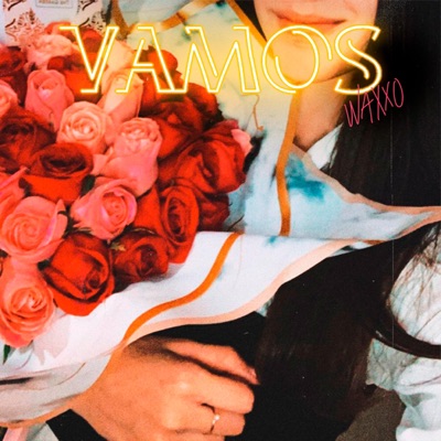 Vamos - Single