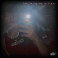 The Story of a Stray - Single - EJ Virgo