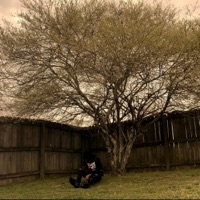 Do You Wanna Stay Like This Forever? - Single - A$heem