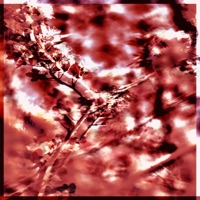 Lovestruck (feat. Yung Van) - Single - Negative Zero