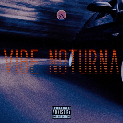 Vibe Noturna - Single