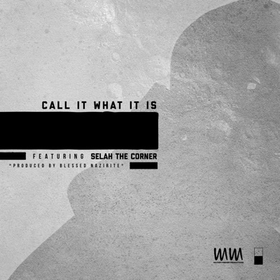 Call it What it Is - Single