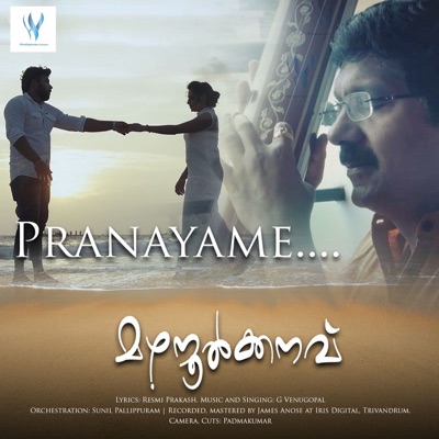 Pranayame (From "Mazhanoolkkanavu") - Single