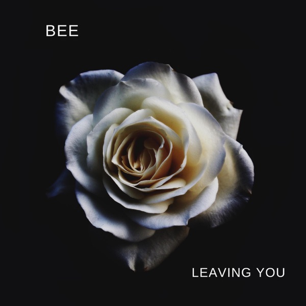 Leaving You - Single