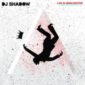 DJ Shadow - Sideshow Donor - Live In Manchester