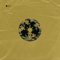 Mr Funny Synth - Single - gabss