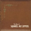 Ghost Of Stephen Foster by Squirrel Nut Zippers