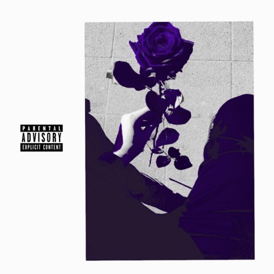 Beautiful & Cold - EP