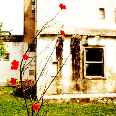 Yellow Stone - Single