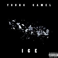 Ice - Single - Young Camel