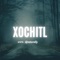 Xochitl - DJ Naturally lyrics