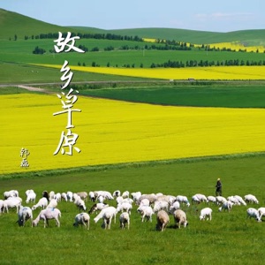 故乡草原 - Single