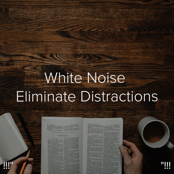 !!!" White Noise Eliminate Distractions "!!!
