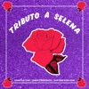 Tributo a Selena (Como la Flor / Amor Prohibido / Bidi Bidi Bom Bom) - Single