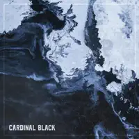 Tell Me How It Feels — Cardinal Black