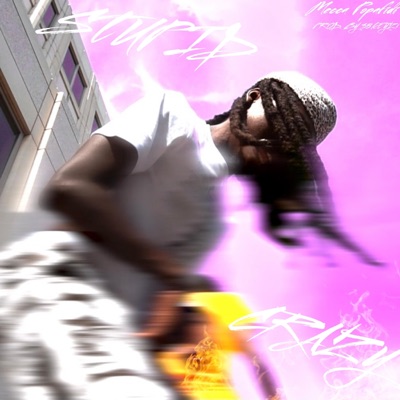 Stupid Crazy - Single