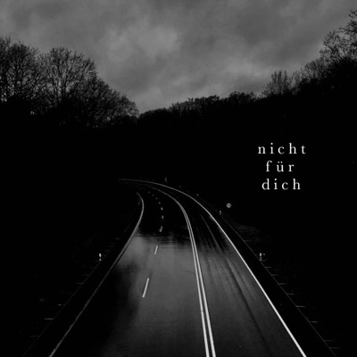 Nicht für dich (feat. KK NAKED) - Single