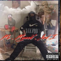 Fake Love (feat. Will Villain) - Single - Vay 700