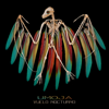 Vuelo Nocturno - Umoja